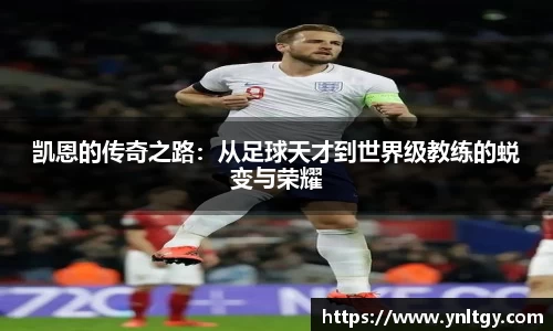 JN江南·(中国区)体育官方网站-JN SPORTS