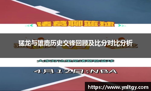 JN体育