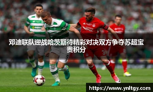 JN江南·(中国区)体育官方网站-JN SPORTS