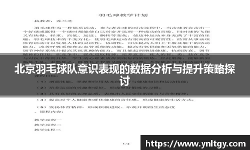 北京羽毛球队意识表现的数据分析与提升策略探讨