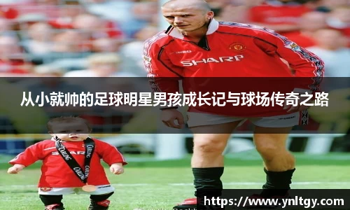 JN江南·(中国区)体育官方网站-JN SPORTS